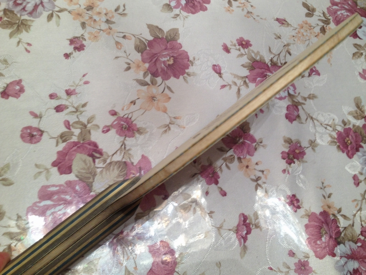 �������л� viscaria FL.����ԭ���׽�һ��