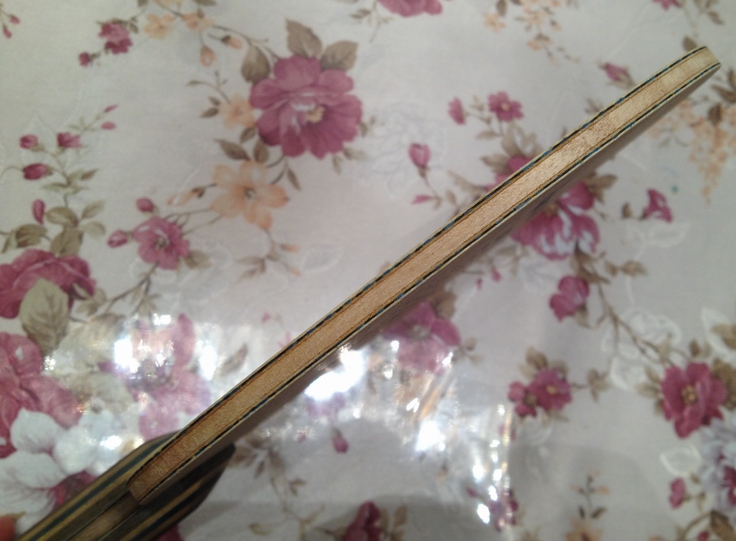 �������л� viscaria FL.����ԭ���׽�һ��