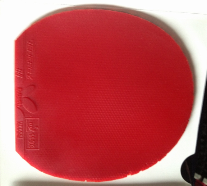 �������л� viscaria FL.����ԭ���׽�һ��