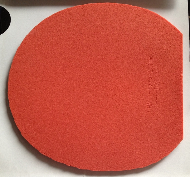 �������л� viscaria FL.����ԭ���׽�һ��