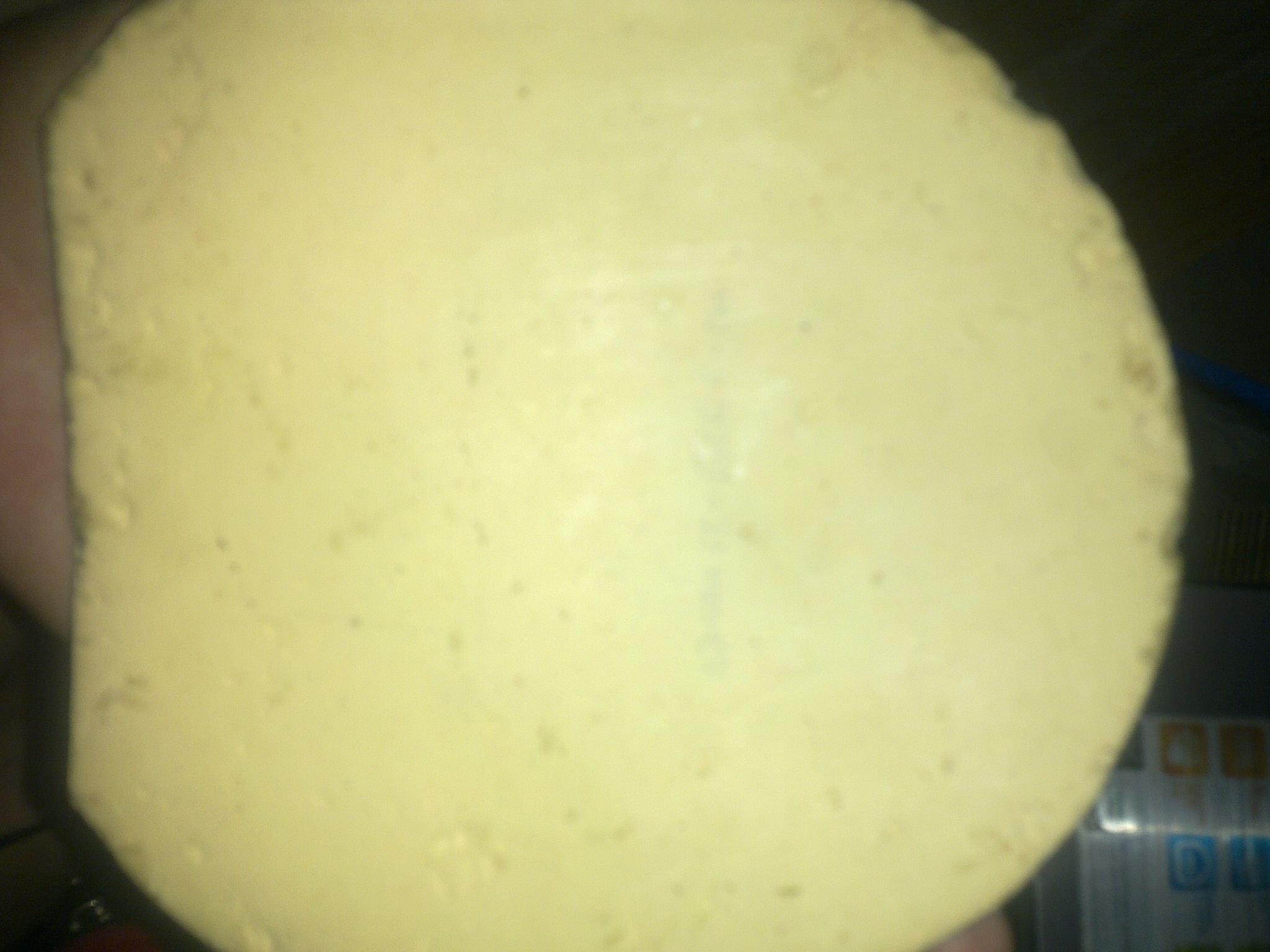 �������fx