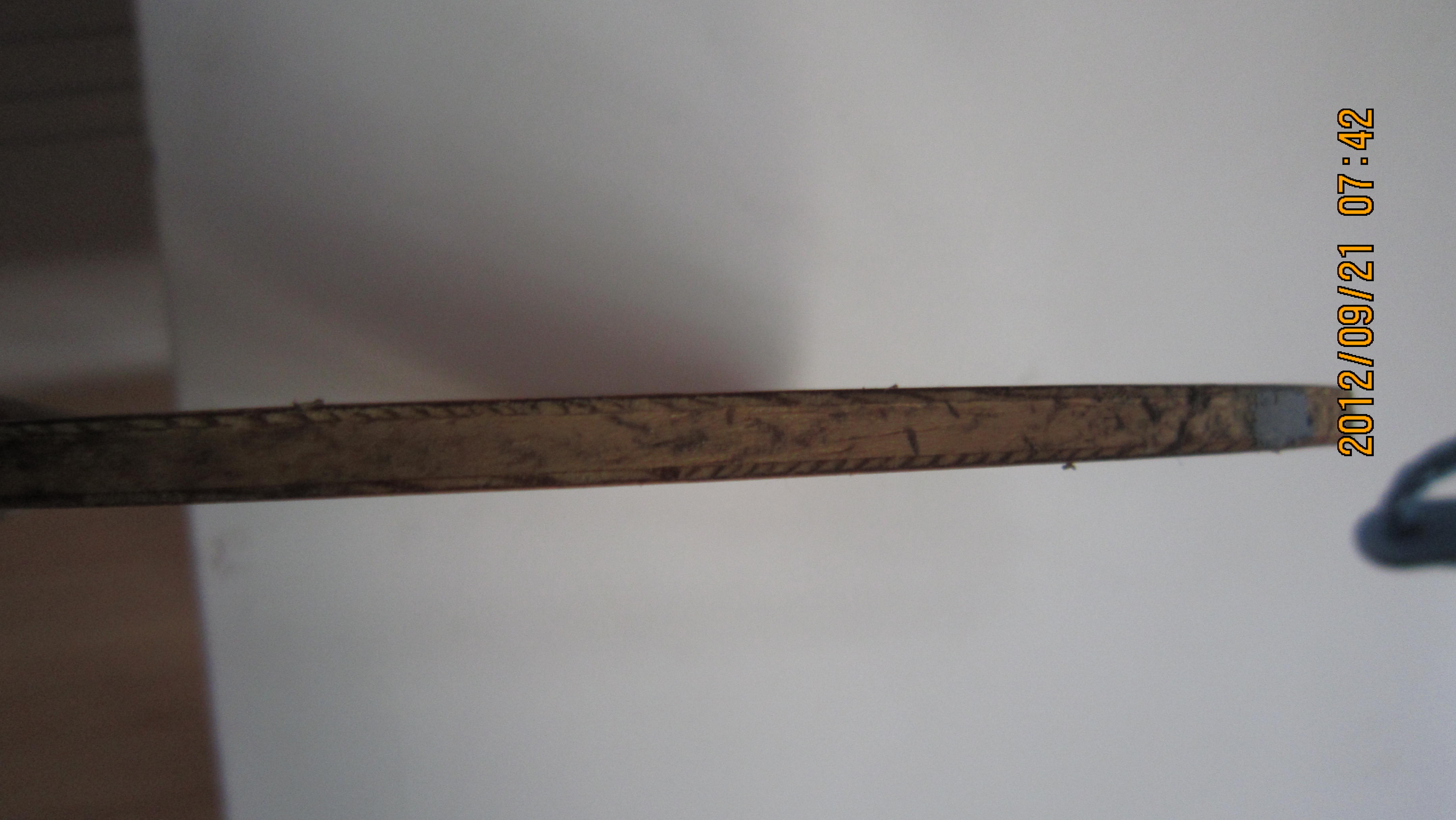 �����л�õ����460���ʻ�9���¸���ye