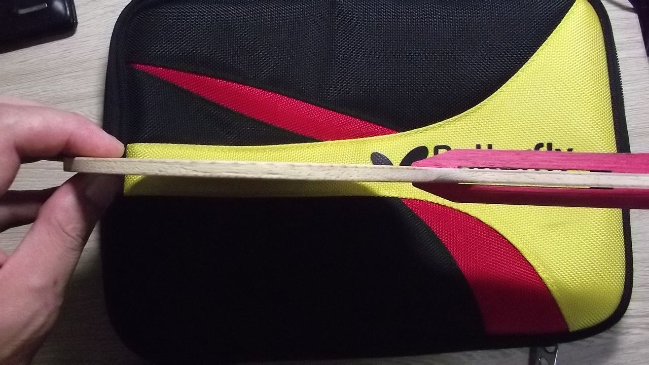 �ٳ�һֻ�����DICON ��ľ ST 300������