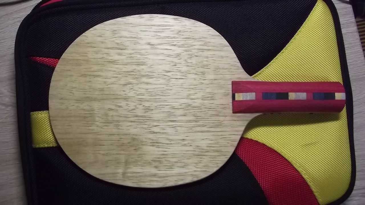 �ٳ�һֻ�����DICON ��ľ ST 300������