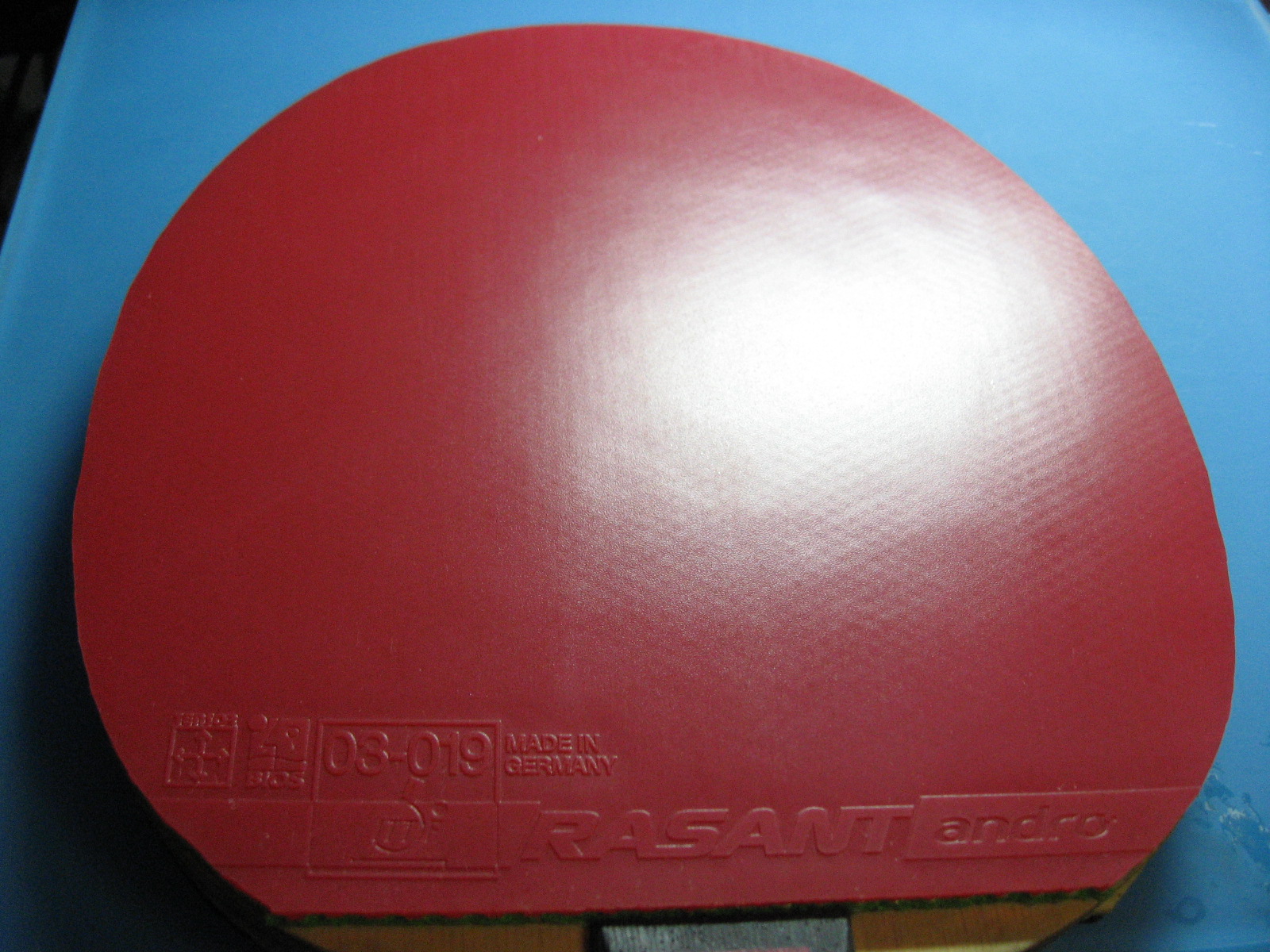 ��ֻ����