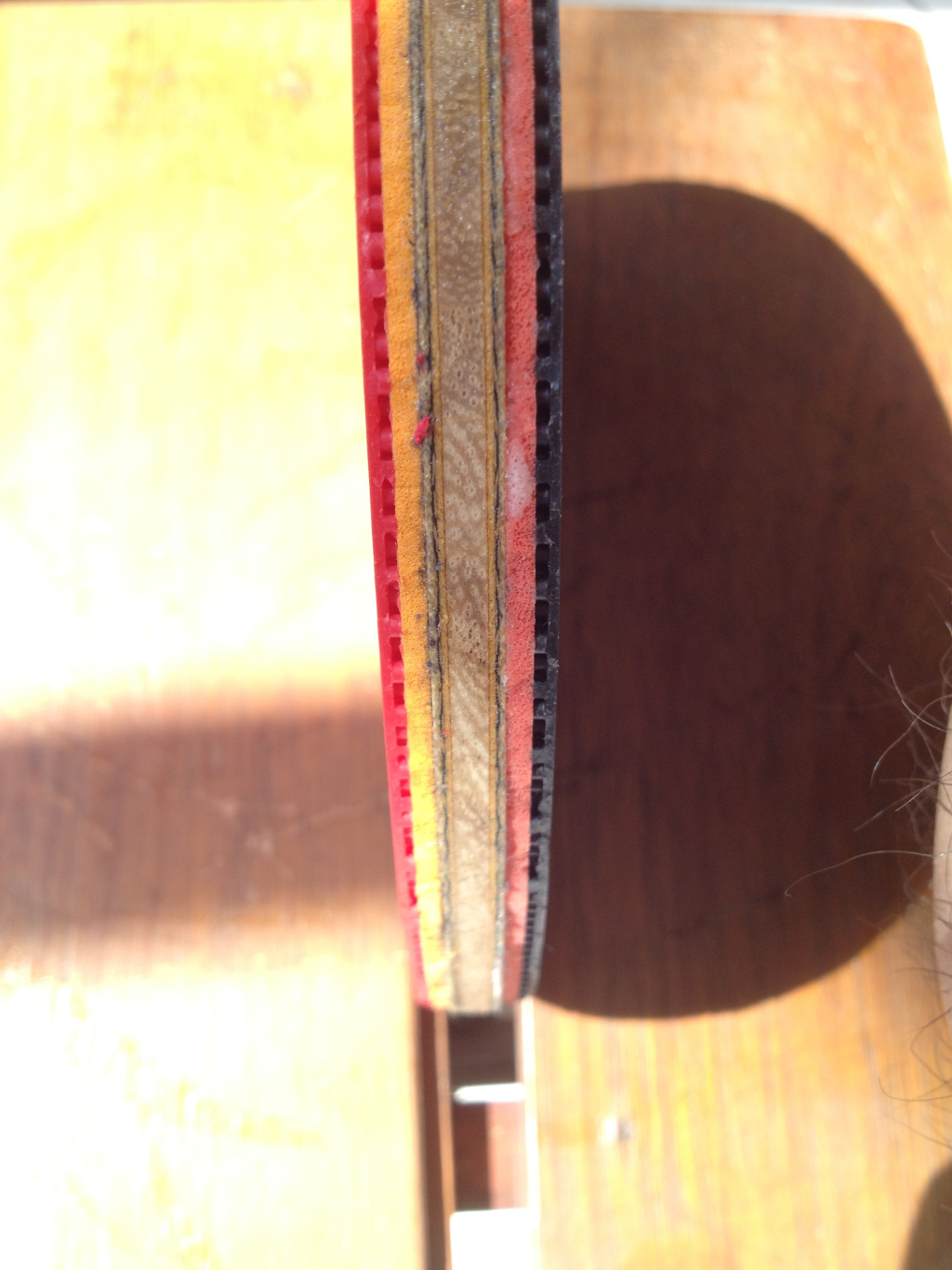 [ԭ��]9����ZLC timo boll FL+t64