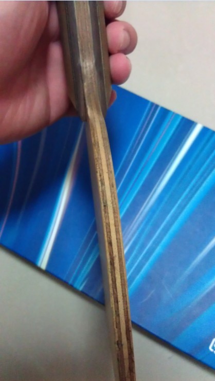 �ٳ����������⣬һ�����һ��NE-6674 BIZELOX����555����֧��֧������