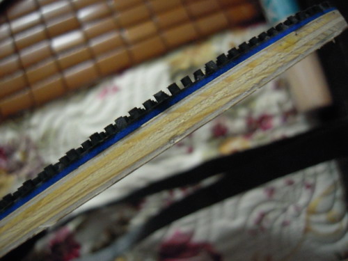 ��¥�ͼ۳���ͷ�����һֻ�����˶���7ľ,����350����ͨ