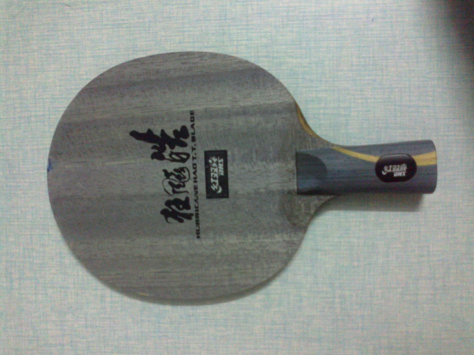 ��Ӣ���Ű���������ת�õװ�һ �������˲������ɭ�����