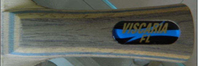 []   λ   VIS    հ