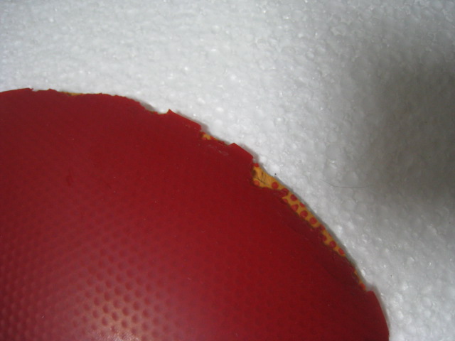 ͦ����ķ̼��һ����ֱ�壬����̽��һ����ɫ��ϸ�ڼ�ͼ