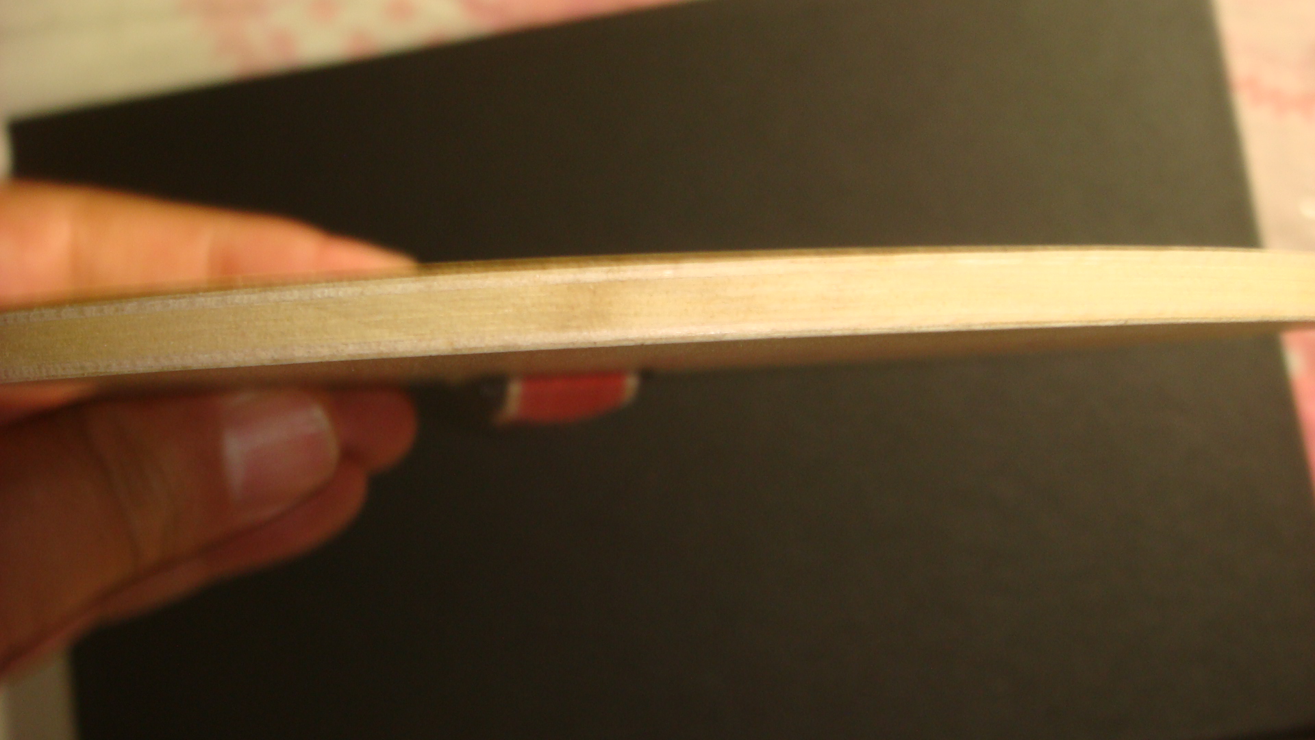 [ԭ��]������רҵ��ר��E3