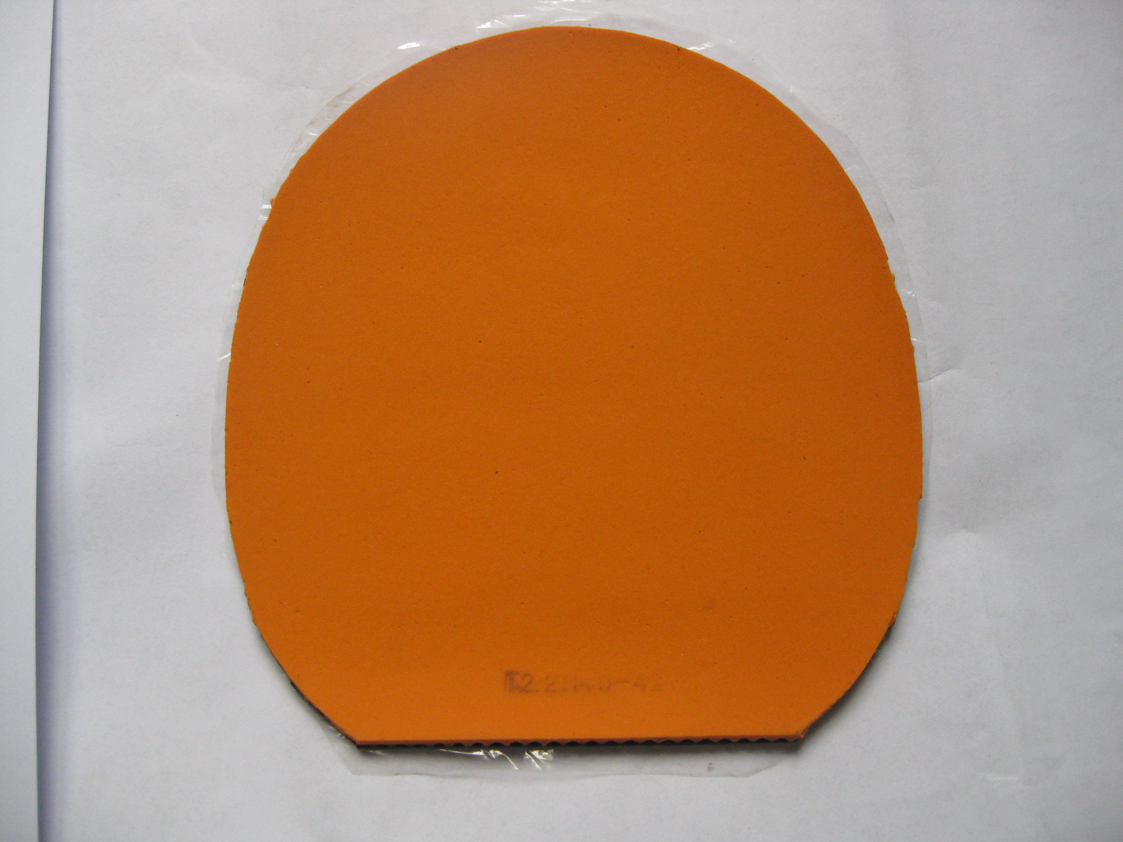 �����������׽� �籩 ������