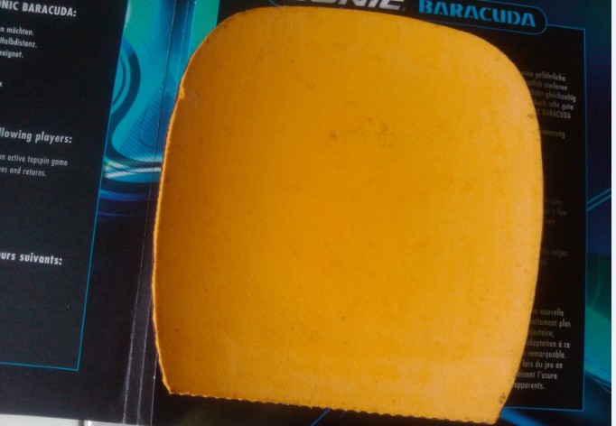 ֱbaracuda