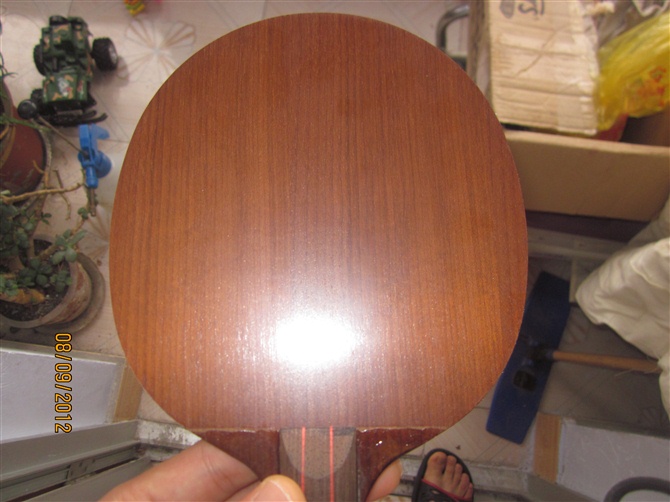 �л�SENSE76����VIS