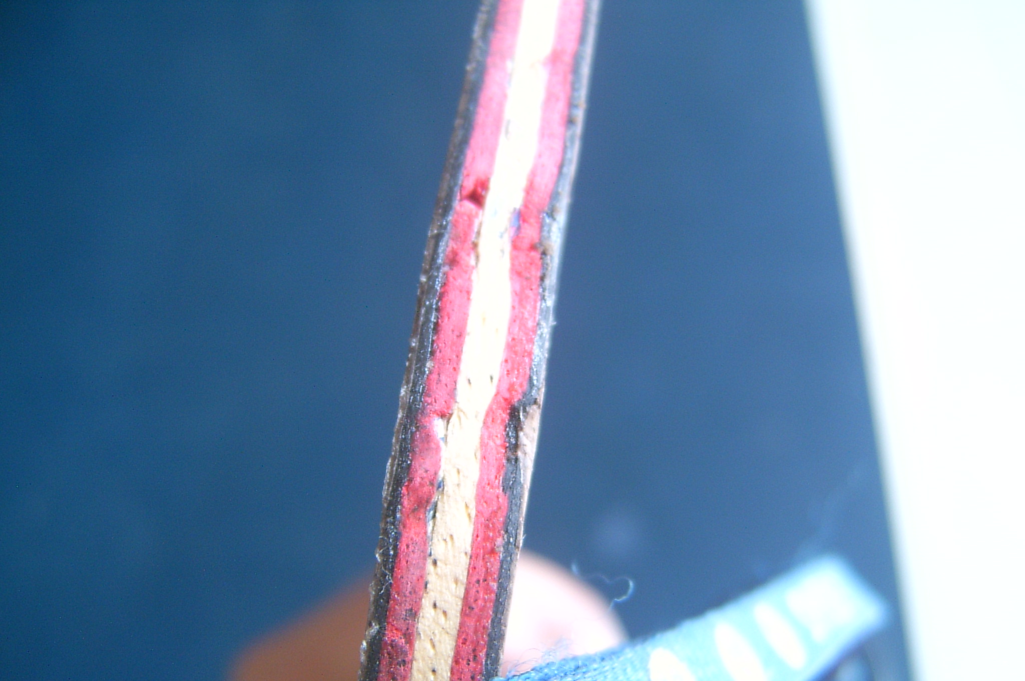 ���������һ���л����