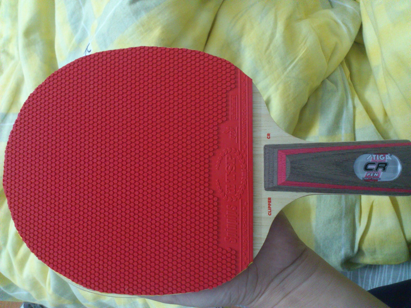 ˭����ʶ���TSP����