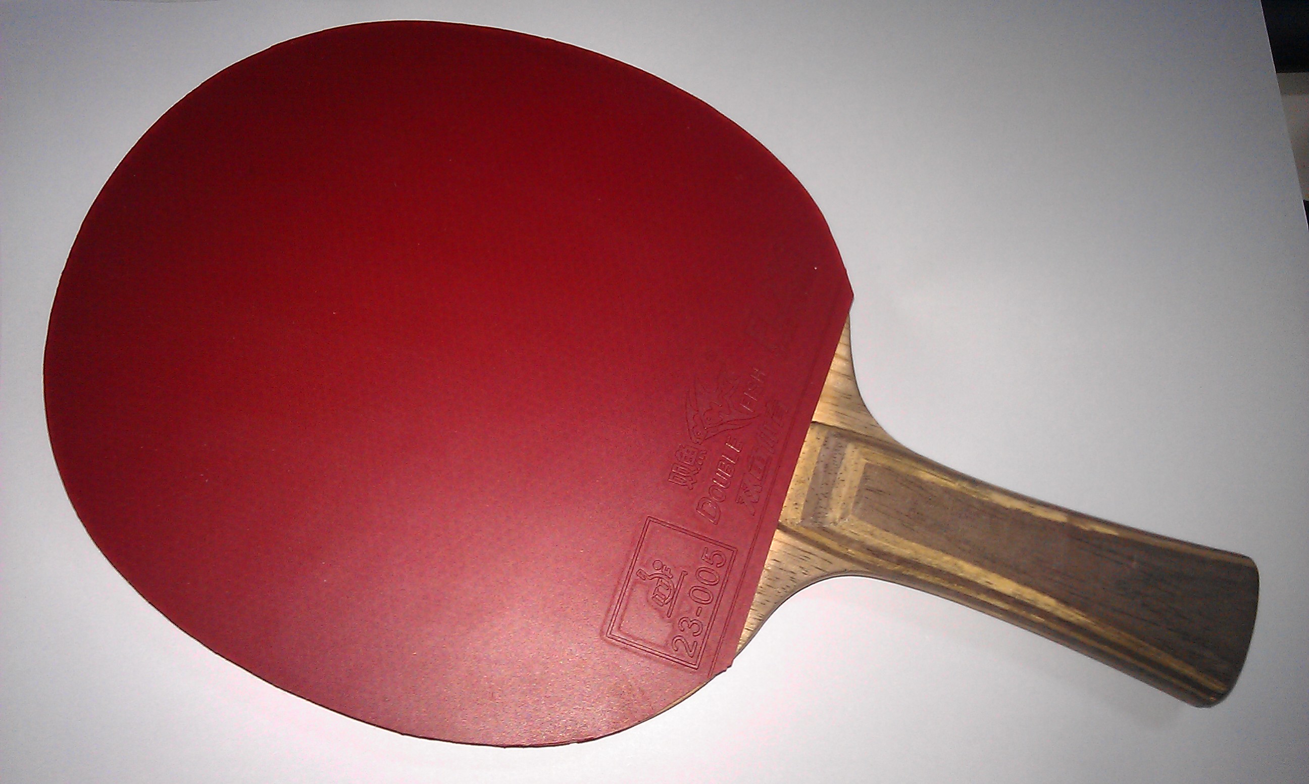 ���� �Ʊ���+����