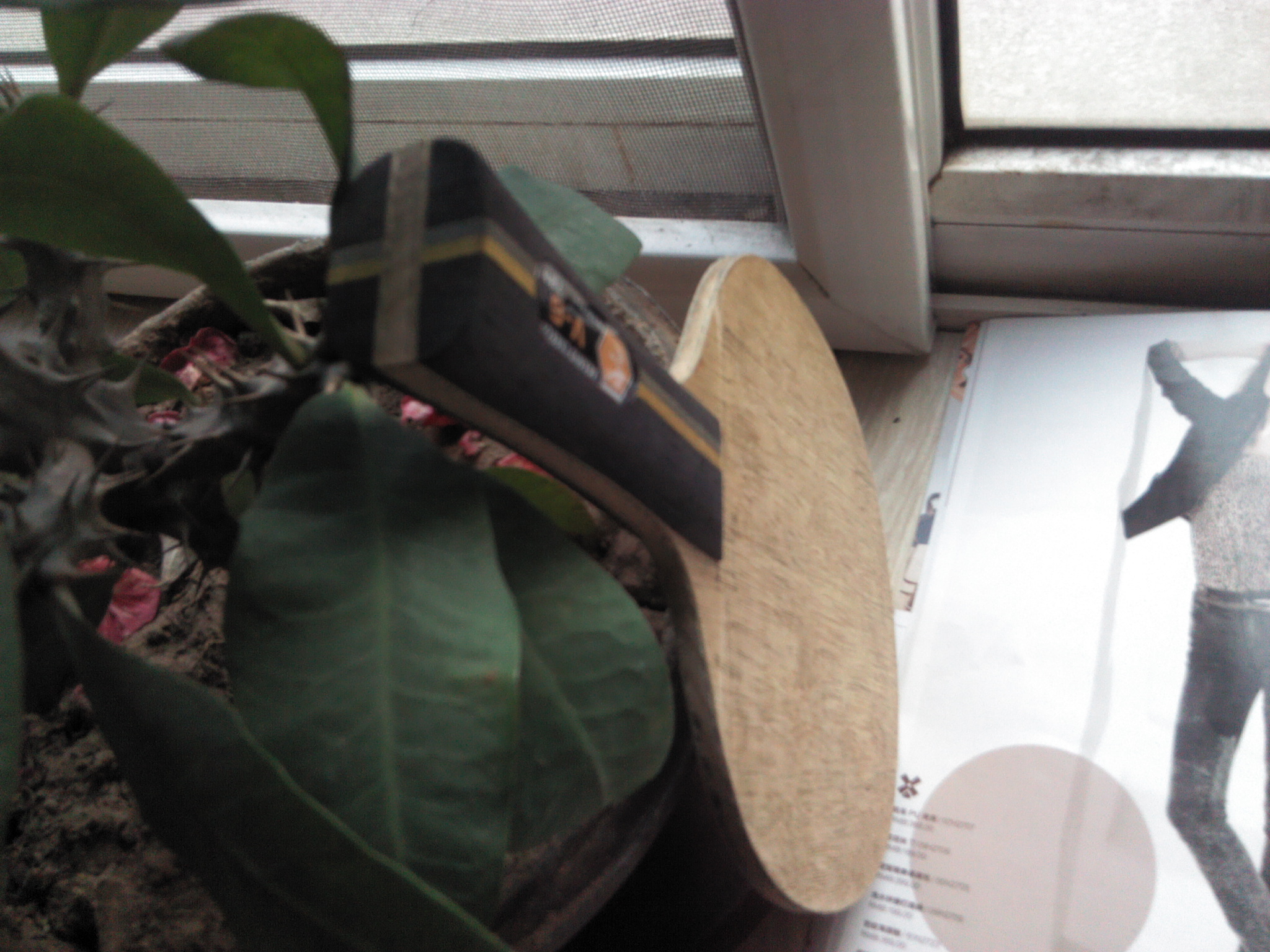 [ԭ��]����729v-6��壬FL.95���ʡ�