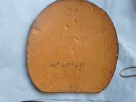 ����F1�ͺ�EL!!!