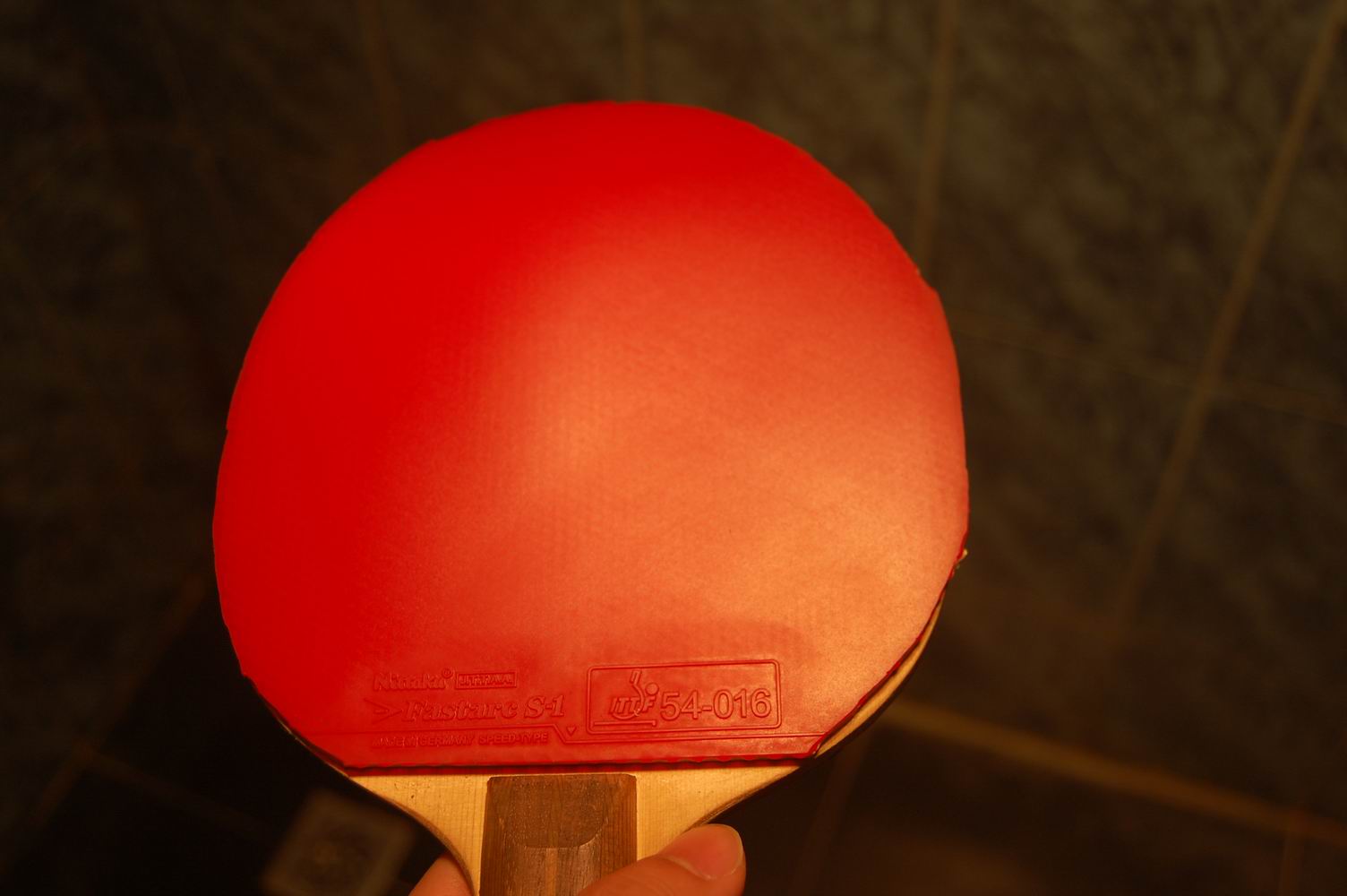 ���������µ����ף�NS1�����࣬����