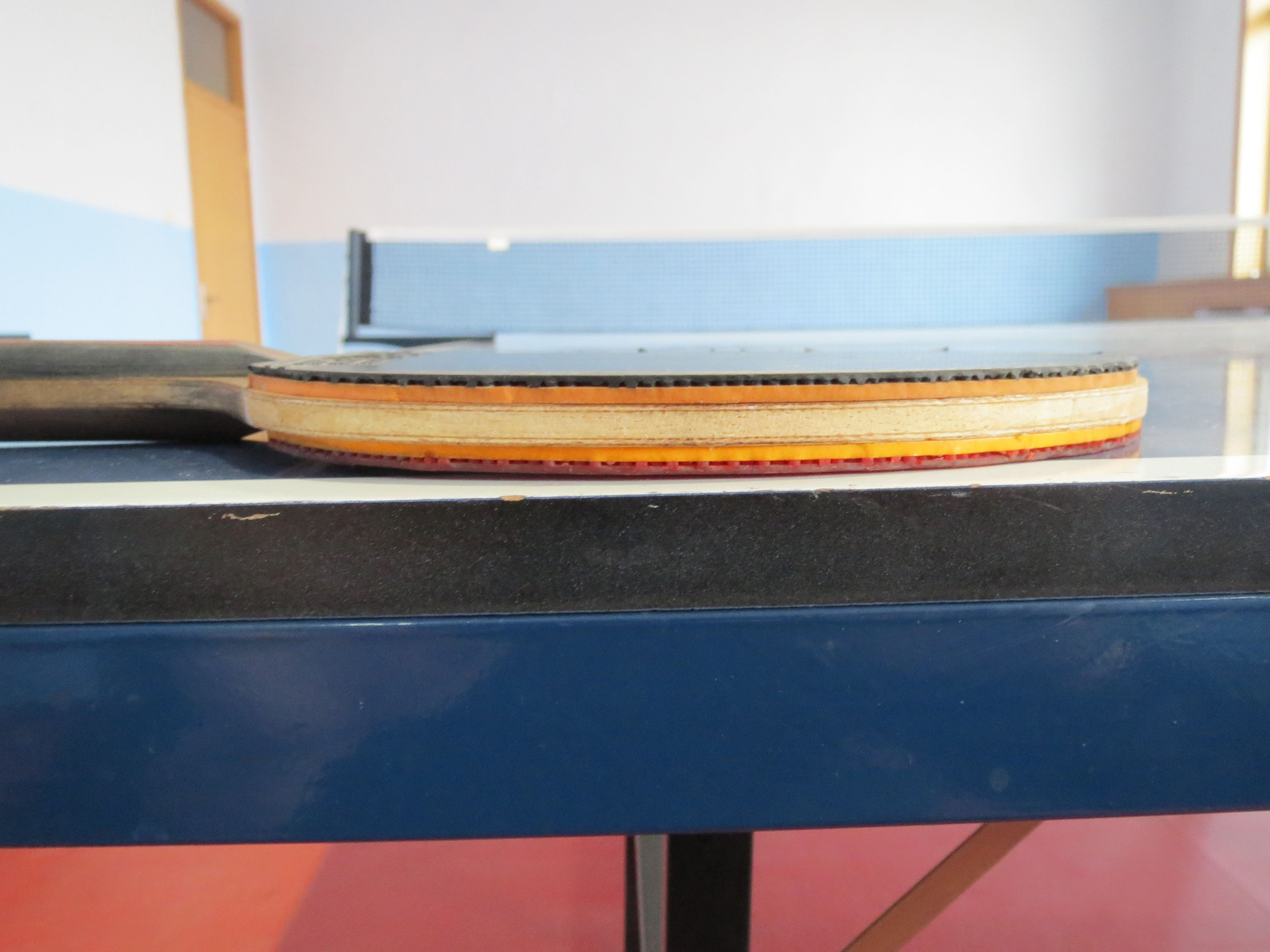 �ͼ۳�Ůʽ���������ģ�ۭ��ͥ���׽���65����������