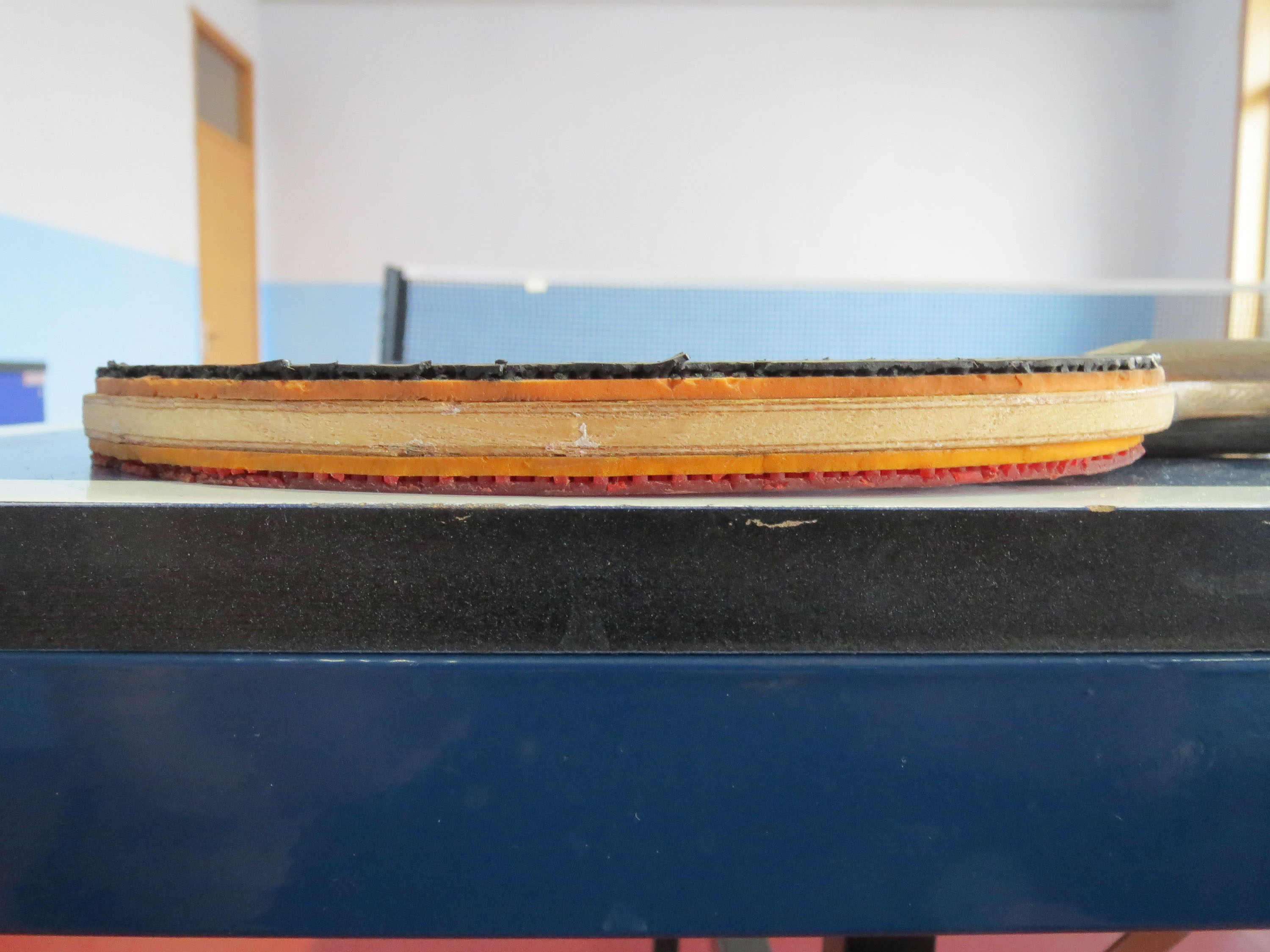 �ͼ۳�Ůʽ���������ģ�ۭ��ͥ���׽���65����������