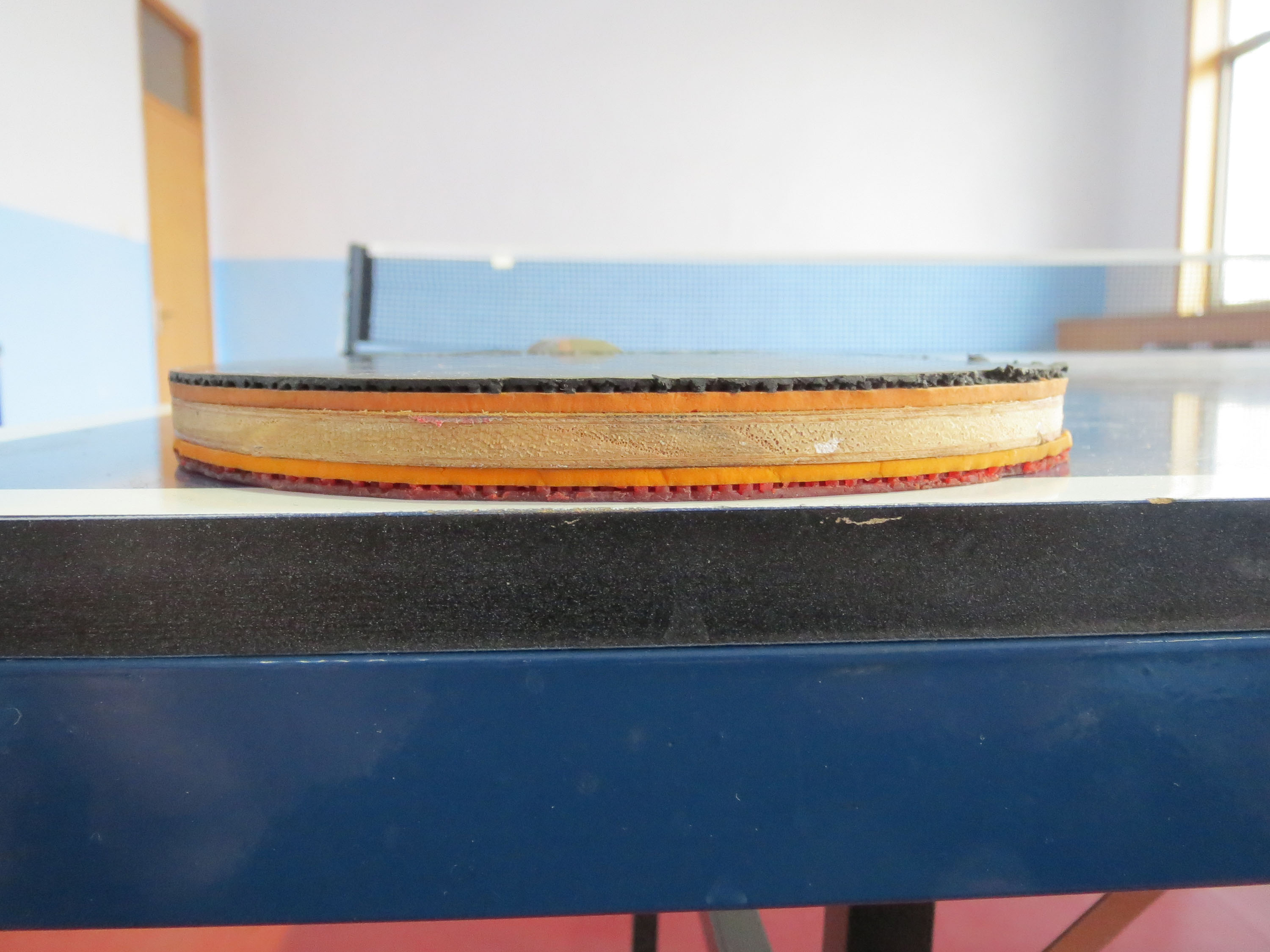 �ͼ۳�Ůʽ���������ģ�ۭ��ͥ���׽���65����������