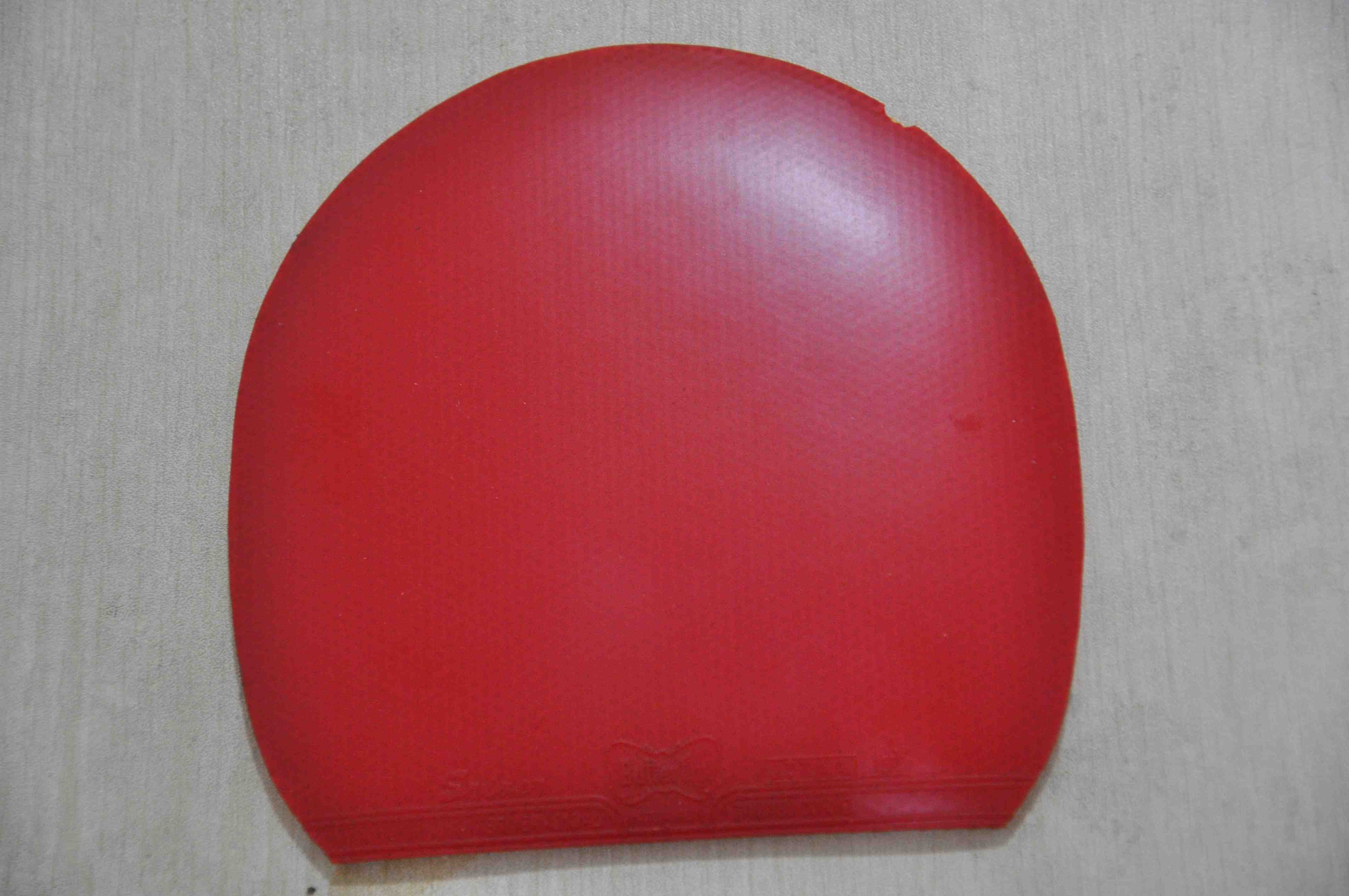 �������ֺ�����Ƥ@@