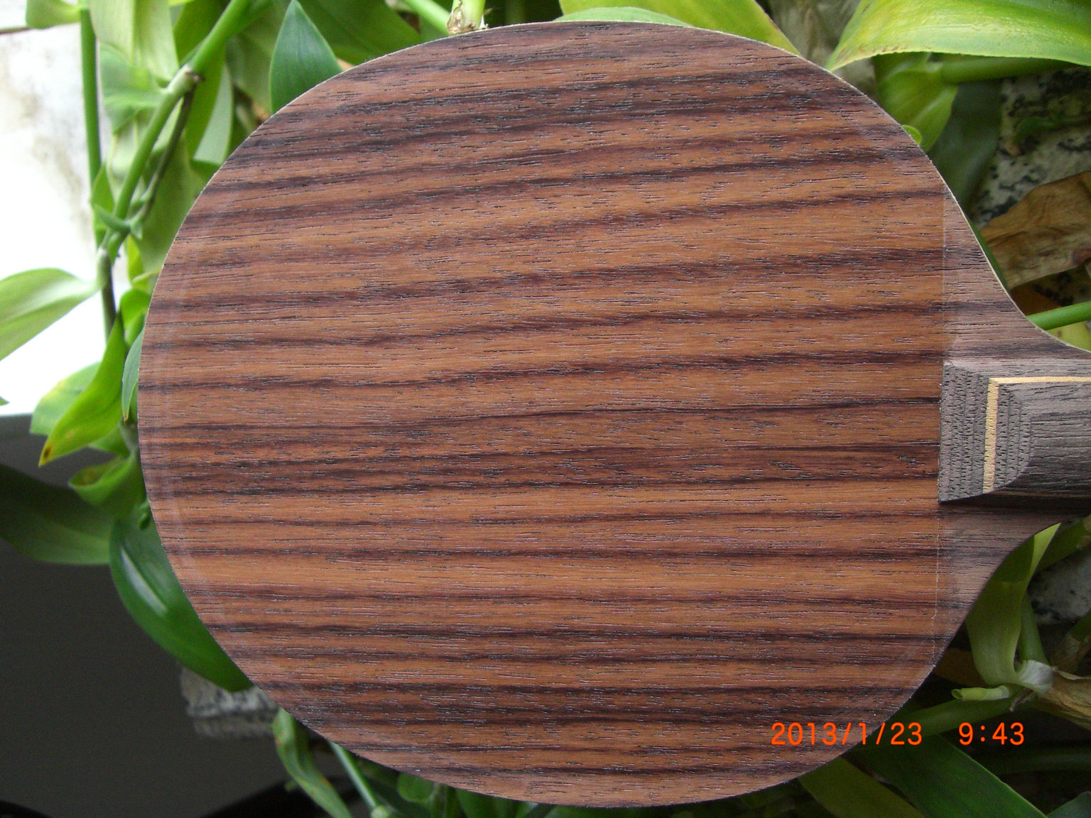 �������¾�Ʒ�л�õ��XO����������