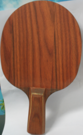 ׼���������л�õ��5