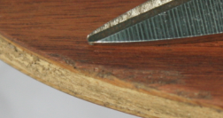 ׼���������л�õ��5