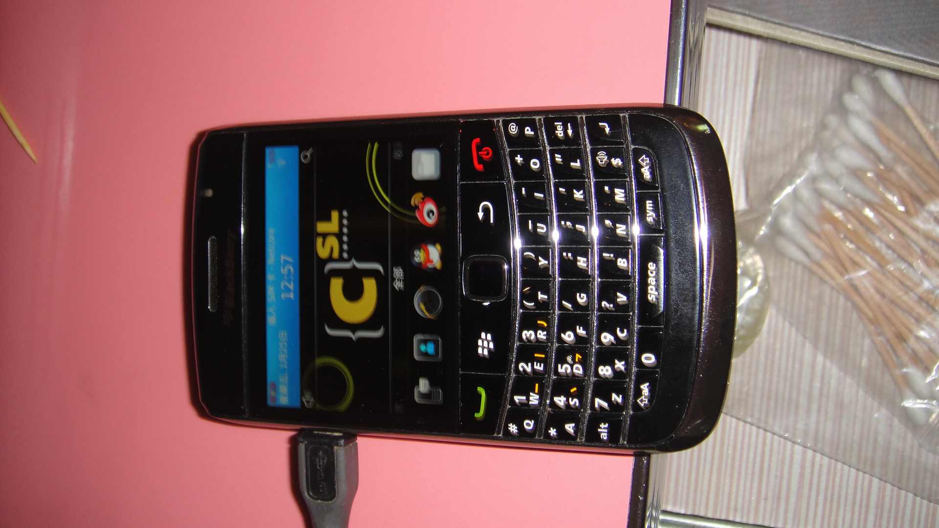 ��ݮ          �ֻ������װ�