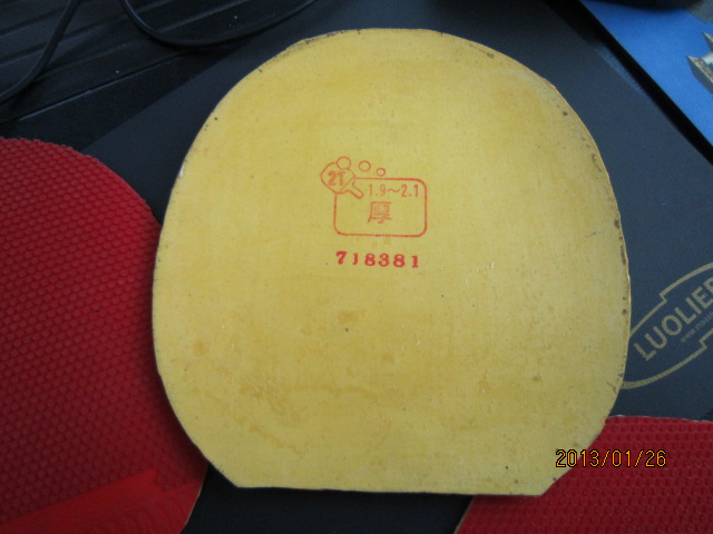 120����ݳ�TSP������SPINPIPS)