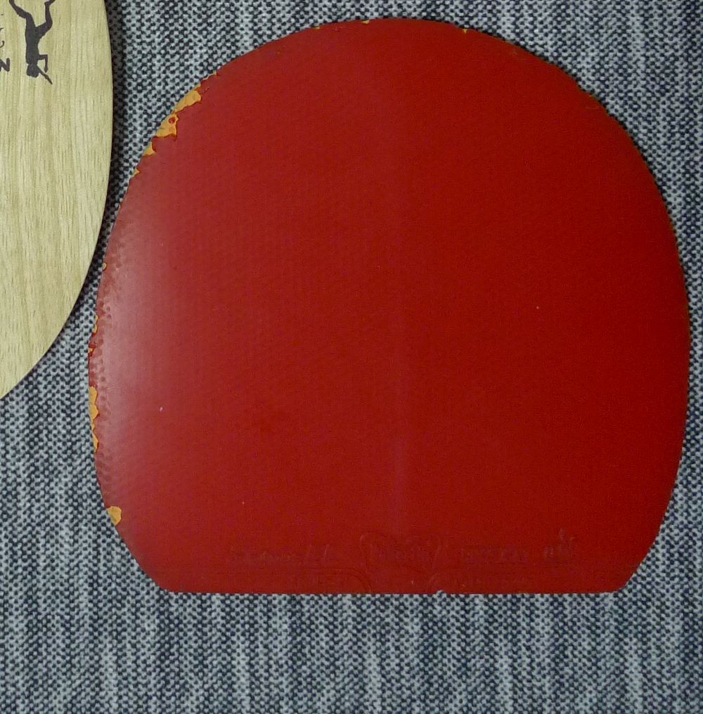 ����Ŷ������Ƥ���극Ǯ�������F1������SRIVER.EL