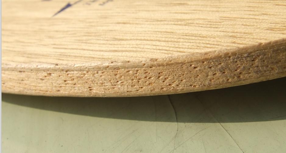 nittaku bizelox (�°�BT555)��ST����о���������ס����и��ܡ�