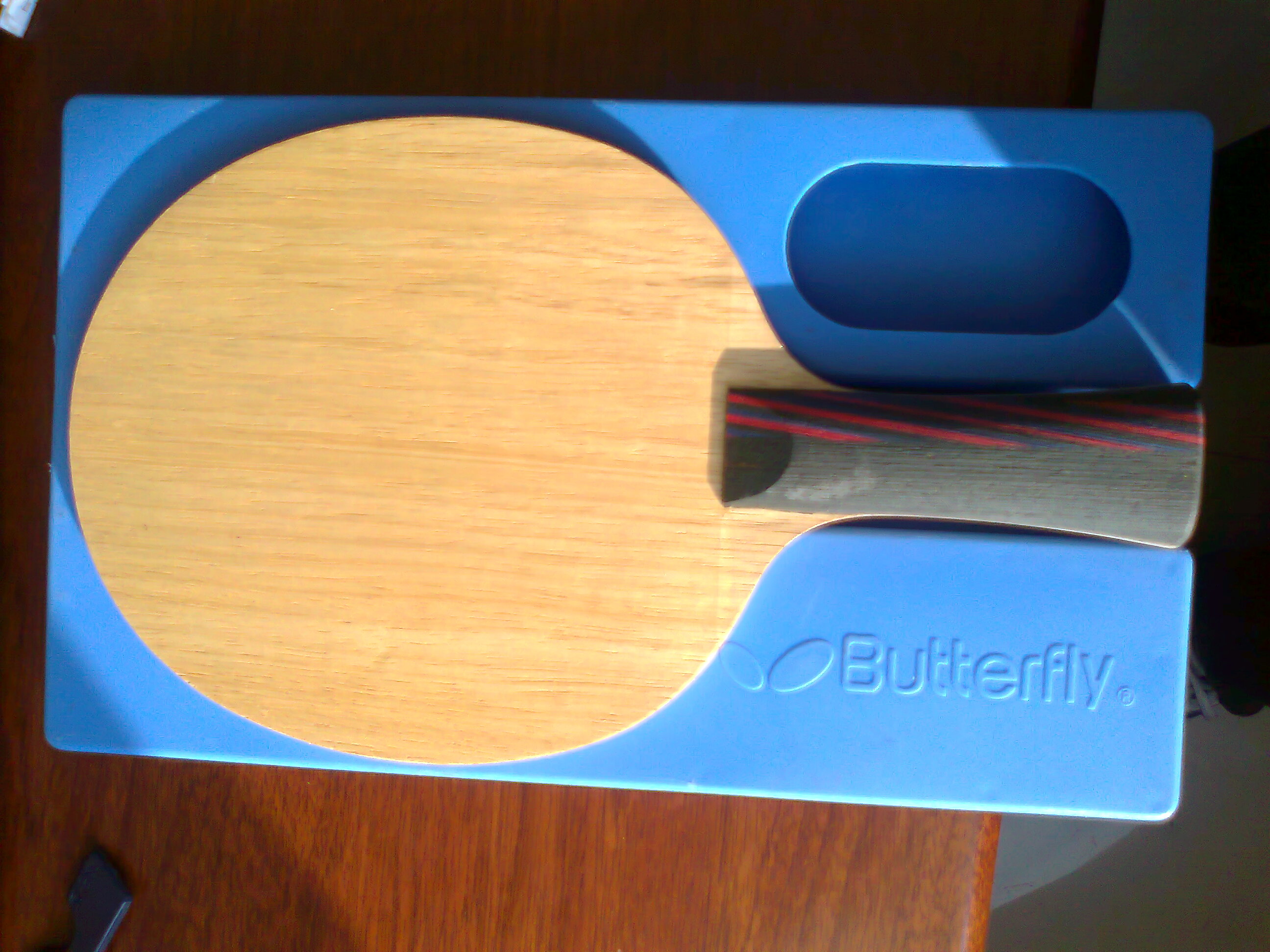 ��ŷ������AC��̼�ع�����һ֧���������