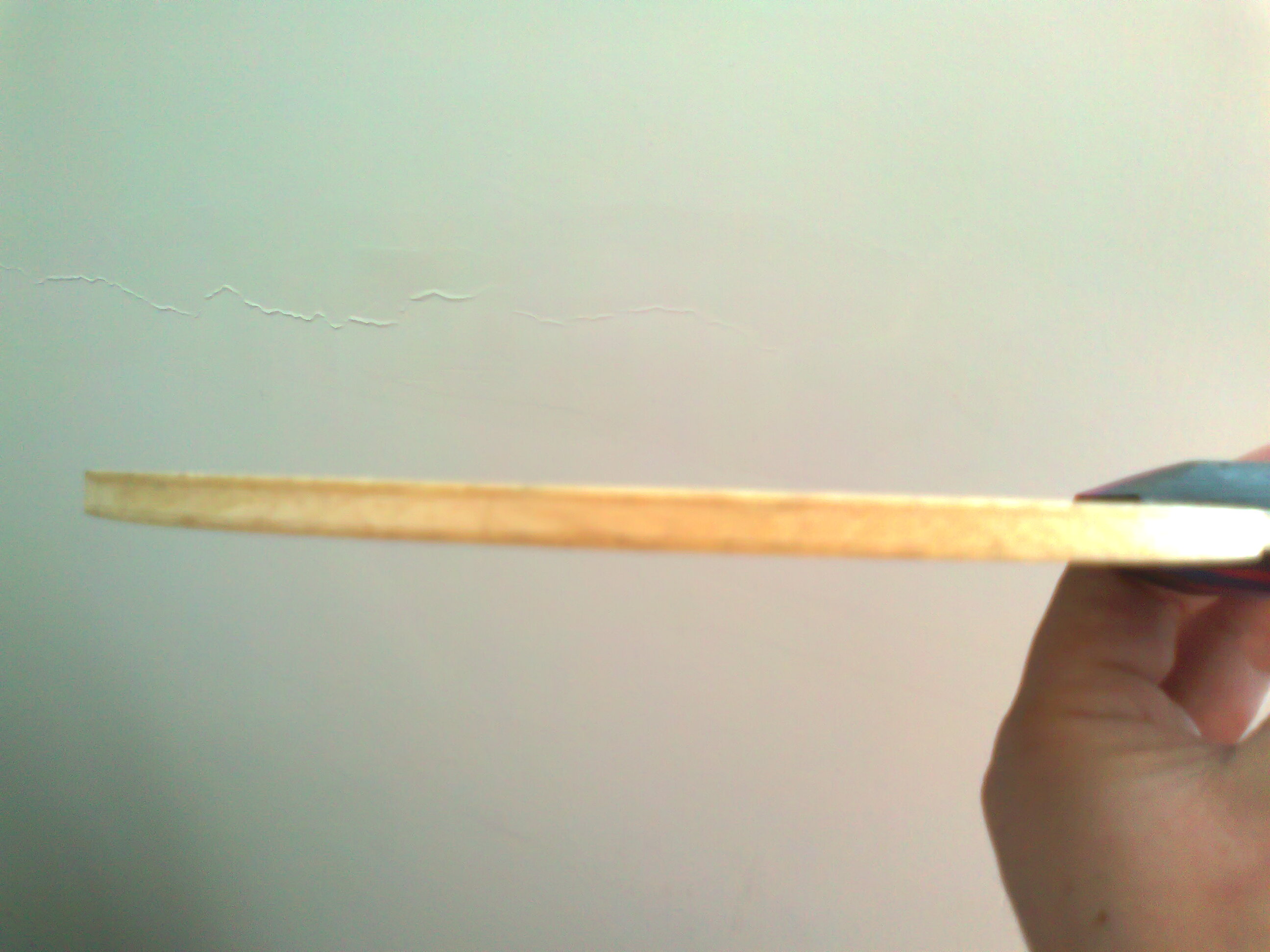 ��ŷ������AC��̼�ع�����һ֧���������