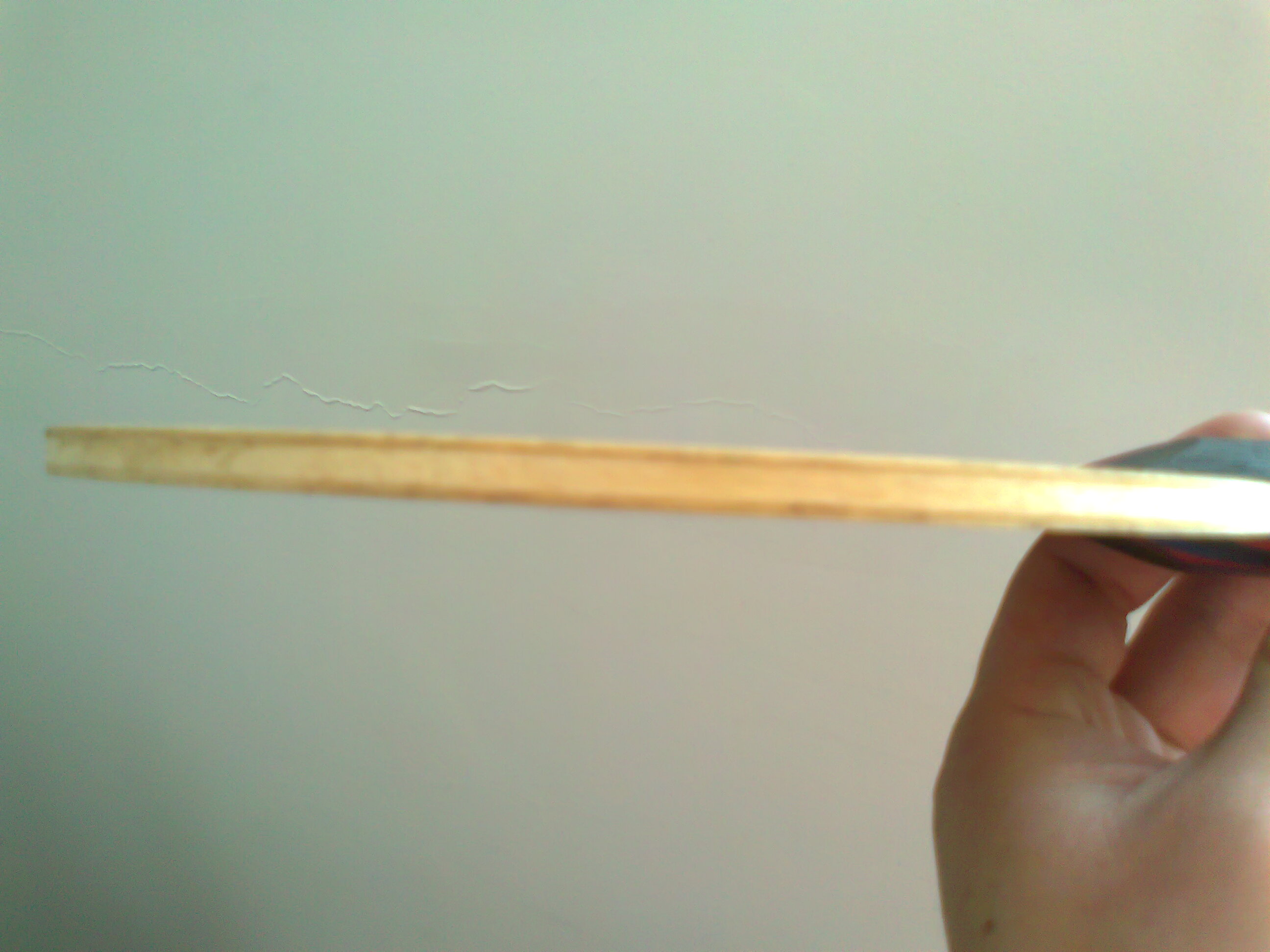 ��ŷ������AC��̼�ع�����һ֧���������