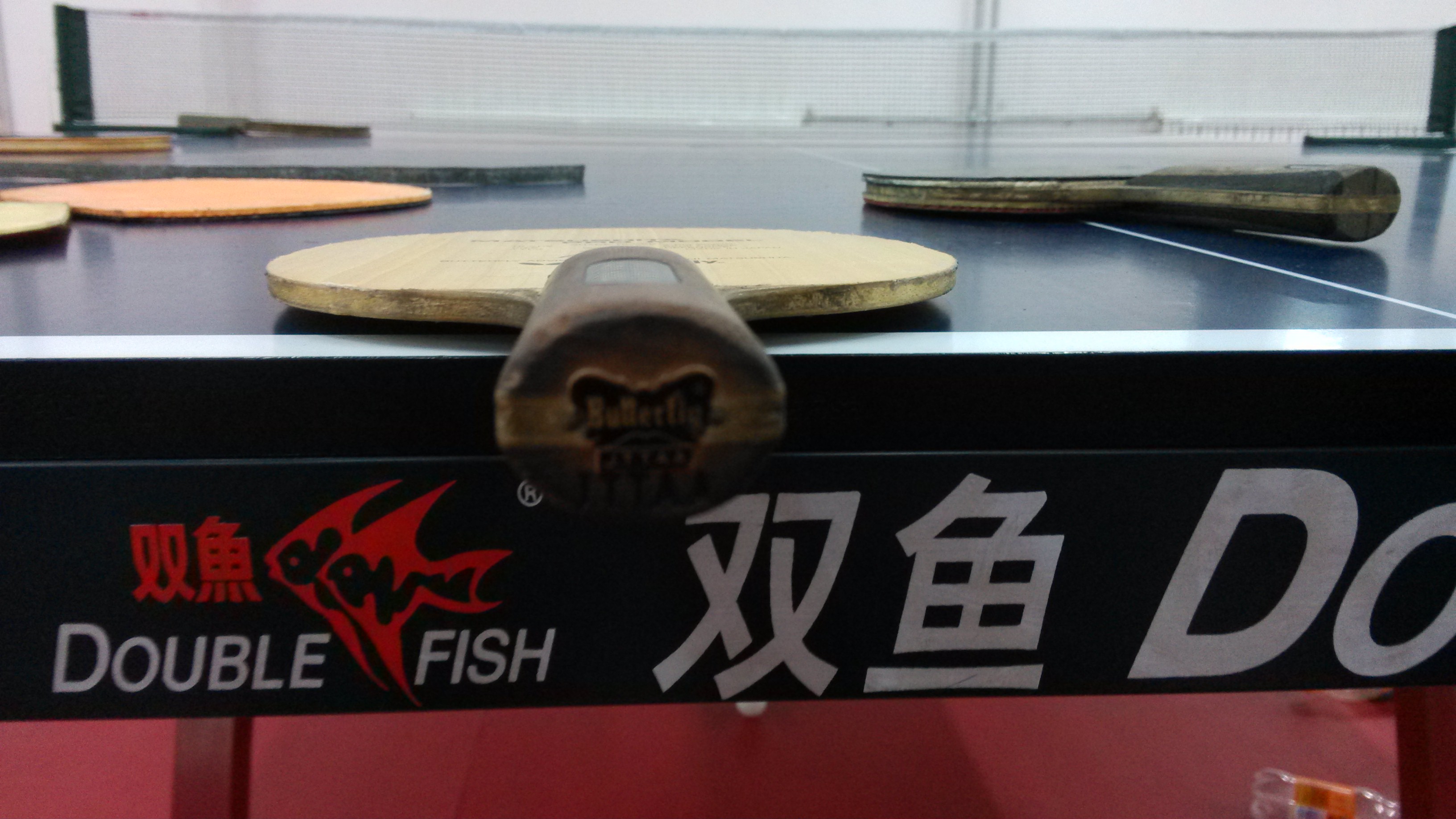 [ԭ��]���ֵ����ºƶ���ST������