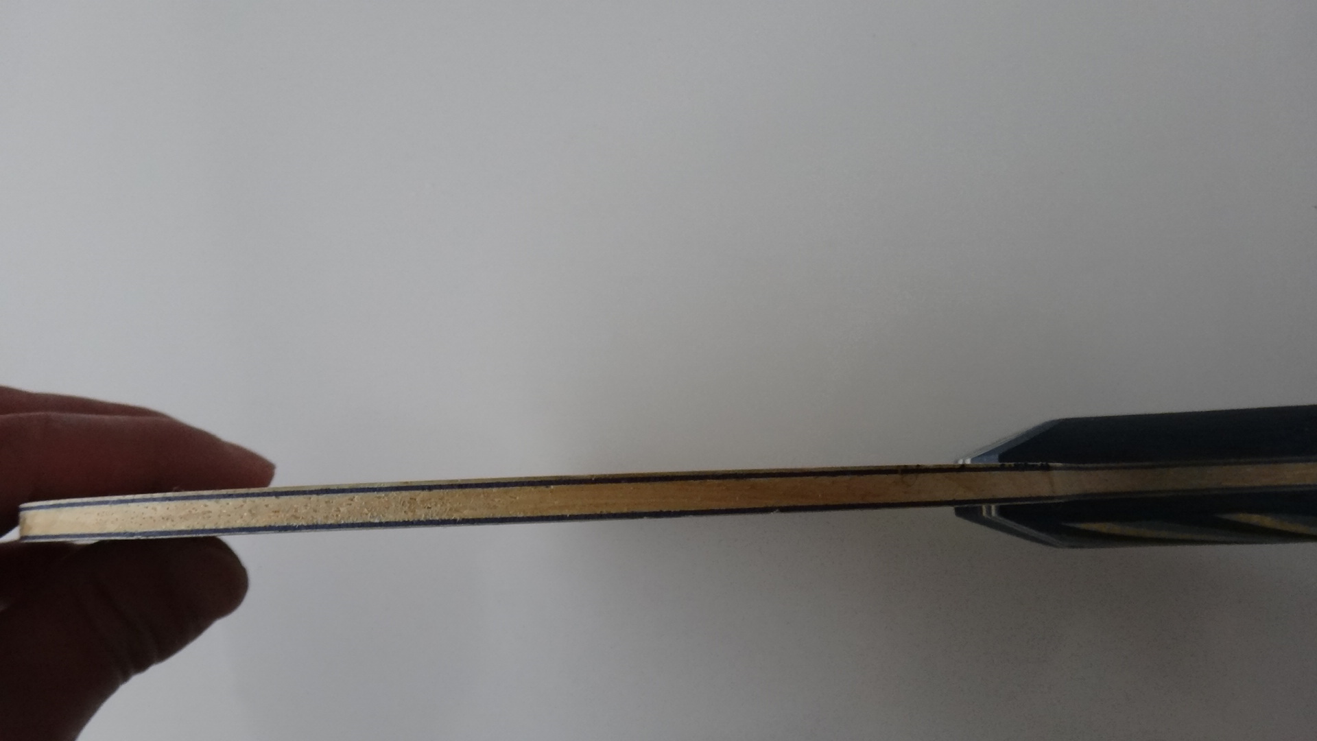 С��˹�ٿ�EG��������սVIS 2�飨���˴��ѳ���