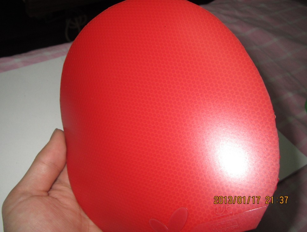 �����׽���ֻ�򼸴Σ����ˡ���������������������