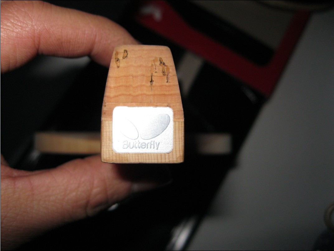 ����䨣�����������������