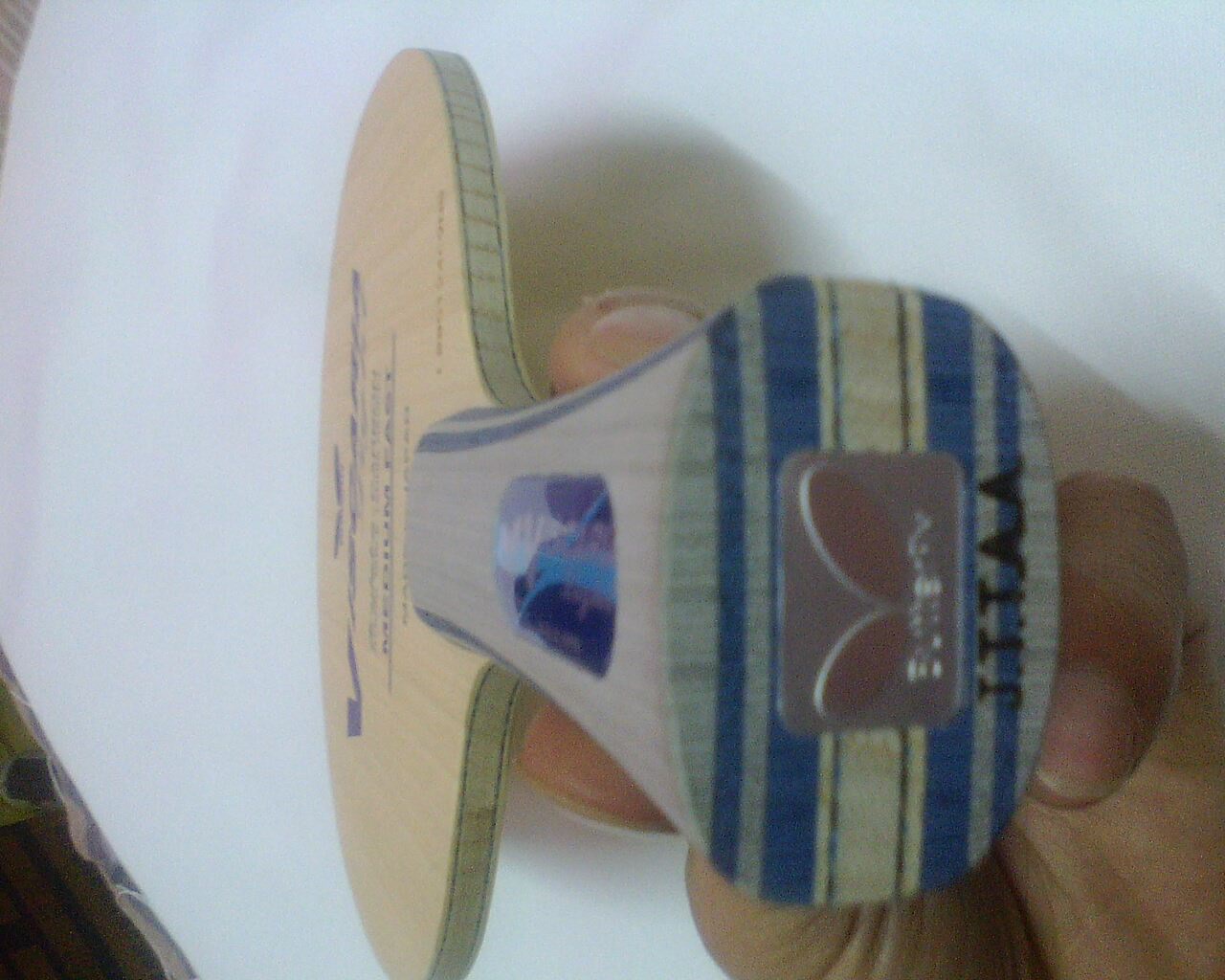 ������������ͺ�����֧��������