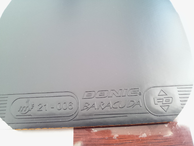 �� �����Baracuda���ڣ� �� ������ X �������죩