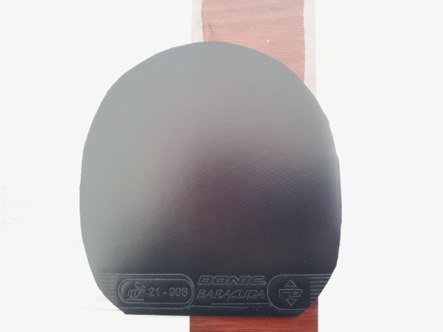 �� �����Baracuda���ڣ� �� ������ X �������죩