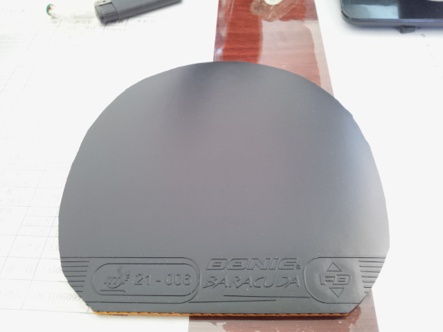 �� �����Baracuda���ڣ� �� ������ X �������죩