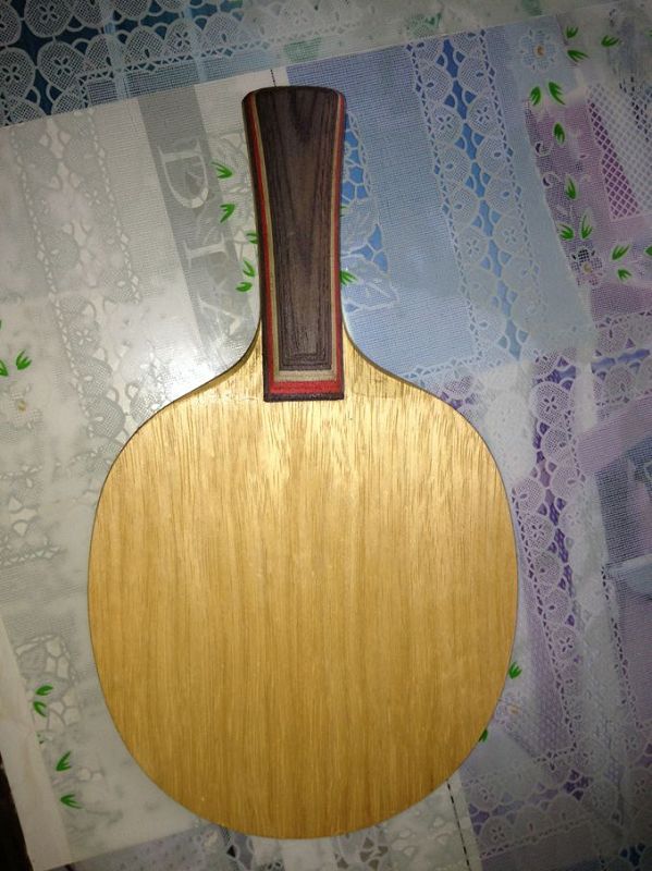 ��һ�������� ����ϼ  nittaku����ϼ