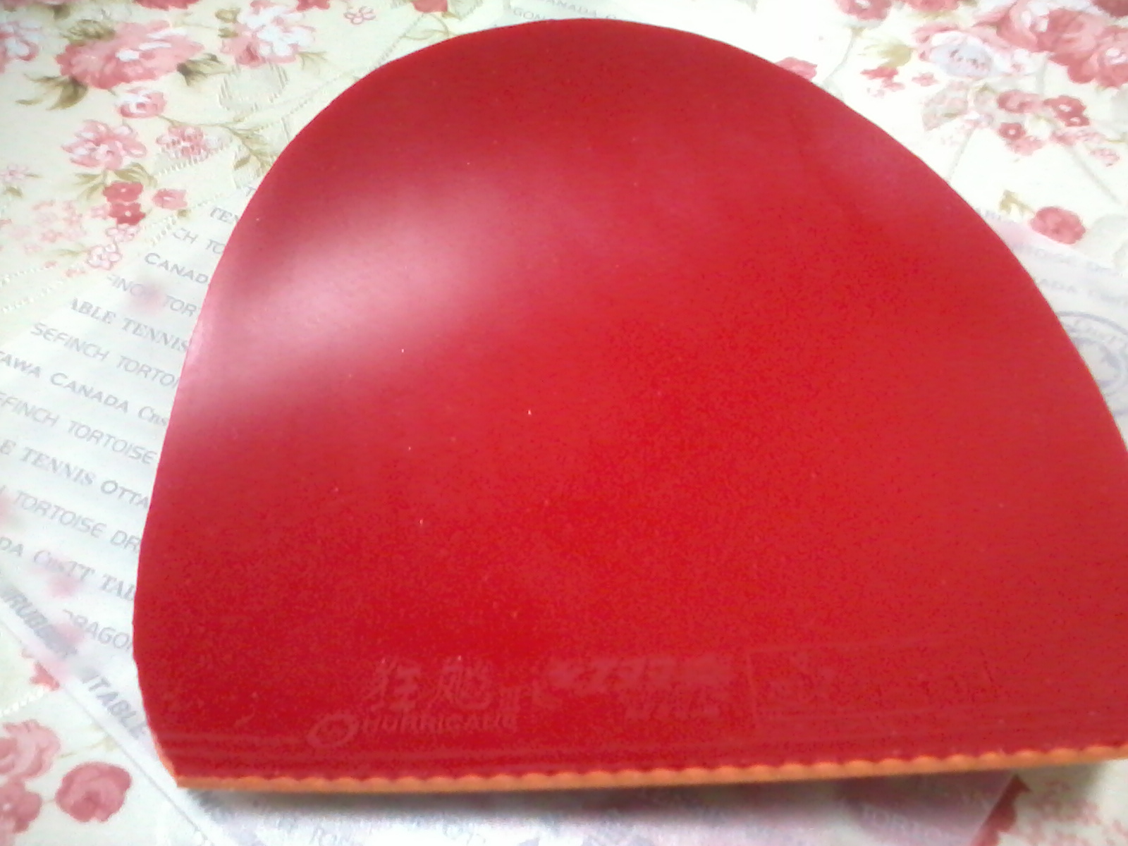 ���׸ú��ˣ��������յ��հ�ye��