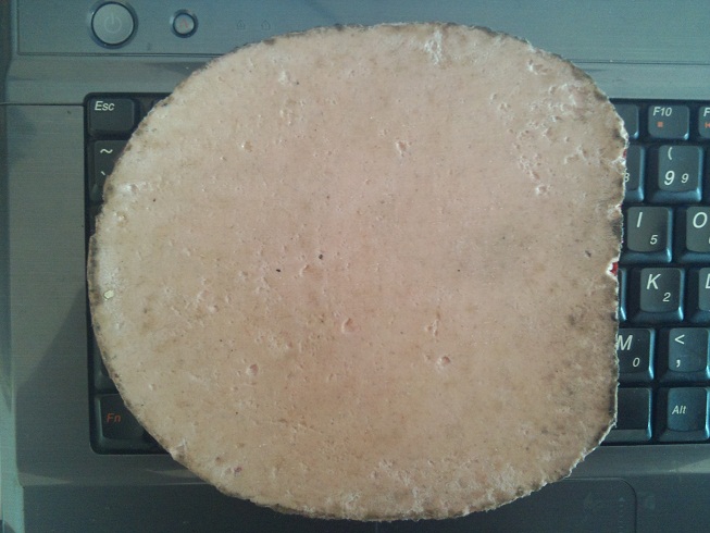 100������ ���Ӷ��������01  ������һ��